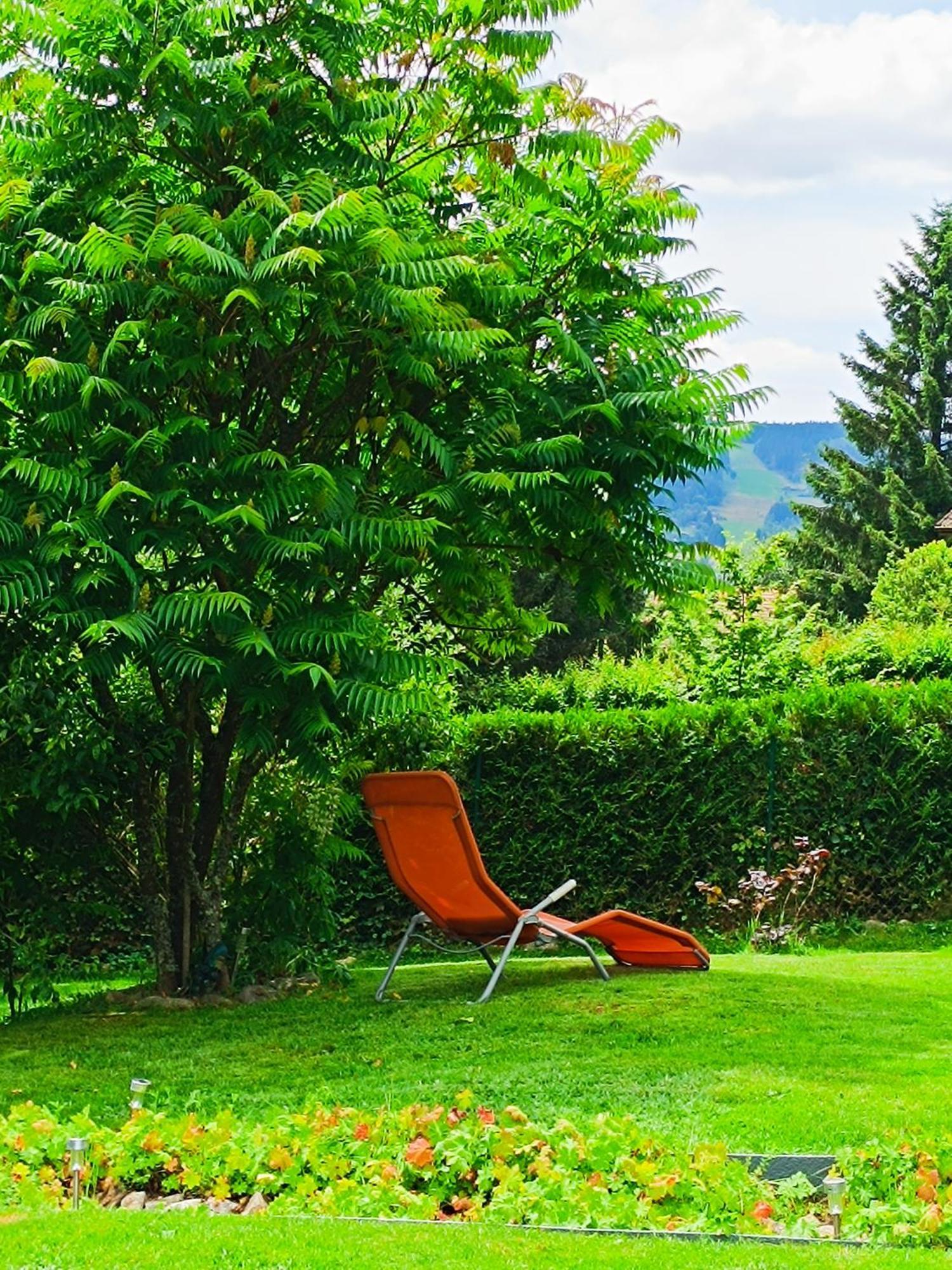L'Eden De Floridylle Bed & Breakfast Xonrupt-Longemer Luaran gambar